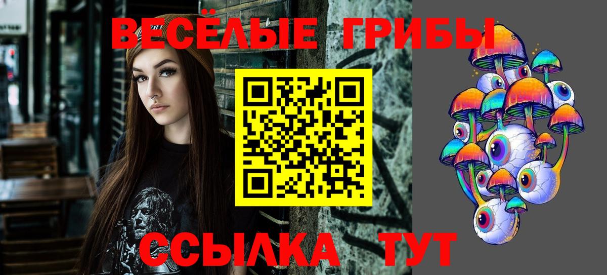 Галлюциногенные грибы Psilocybine cubensis Россошь